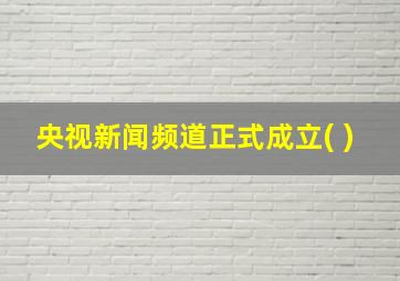 央视新闻频道正式成立( )